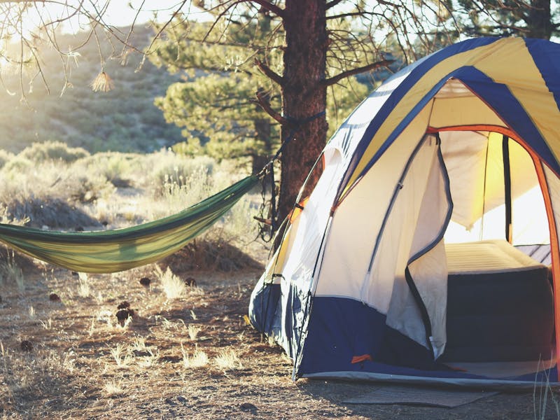 Campingzelt und Hängematte im Wald